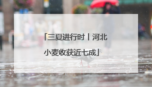 三夏进行时丨河北小麦收获近七成