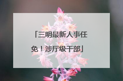 三明最新人事任免！涉厅级干部