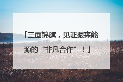 三面锦旗，见证振森能源的“非凡合作”！