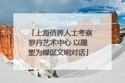 上海侨界人士考察罗丹艺术中心 以雕塑为媒促文明对话