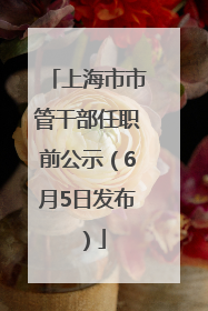上海市市管干部任职前公示（6月5日发布）