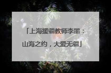 上海援疆教师李墨：山海之约，大爱无疆