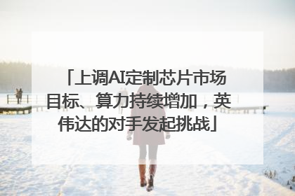 上调AI定制芯片市场目标、算力持续增加，英伟达的对手发起挑战