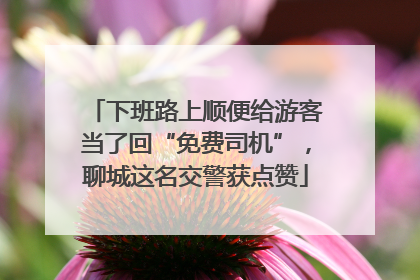 下班路上顺便给游客当了回“免费司机”，聊城这名交警获点赞