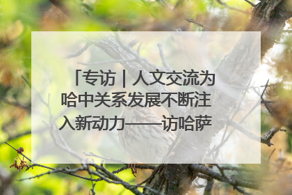 专访｜人文交流为哈中关系发展不断注入新动力——访哈萨克斯坦文化与信息部部长巴拉耶娃