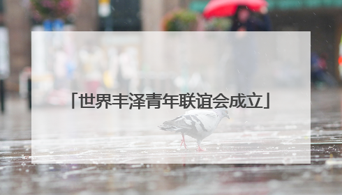 世界丰泽青年联谊会成立