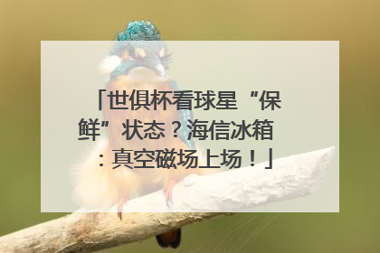 世俱杯看球星“保鲜”状态？海信冰箱：真空磁场上场！