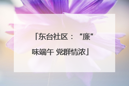 东台社区：“廉”味端午 党群情浓