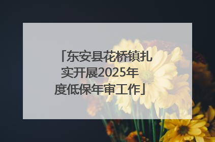 东安县花桥镇扎实开展2025年度低保年审工作