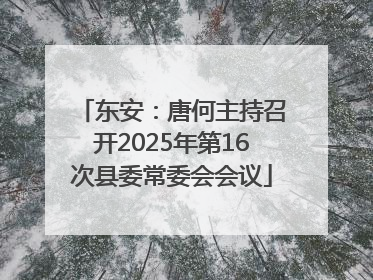 东安：唐何主持召开2025年第16次县委常委会会议
