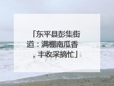 东平县彭集街道：满棚南瓜香，丰收采摘忙
