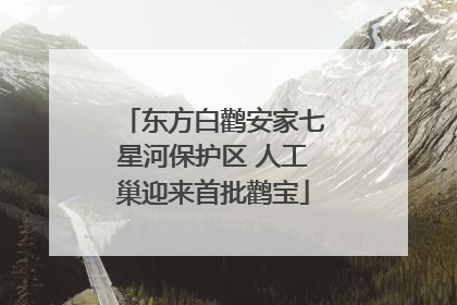 东方白鹳安家七星河保护区 人工巢迎来首批鹳宝