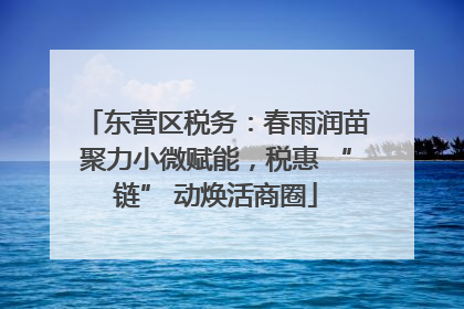 东营区税务：春雨润苗聚力小微赋能，税惠 “链” 动焕活商圈