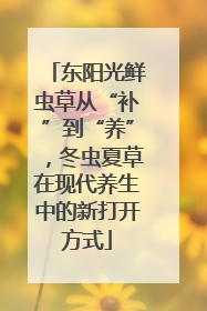 东阳光鲜虫草从“补”到“养”，冬虫夏草在现代养生中的新打开方式