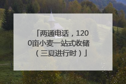 两通电话，1200亩小麦一站式收储（三夏进行时）