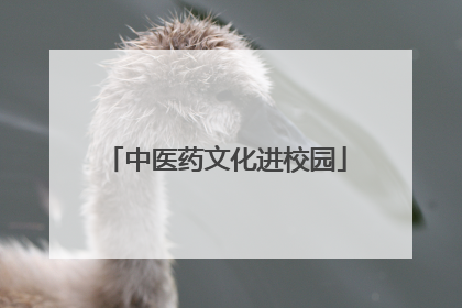 中医药文化进校园