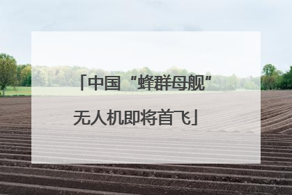 中国“蜂群母舰”无人机即将首飞