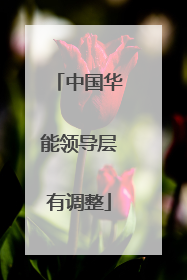 中国华能领导层有调整