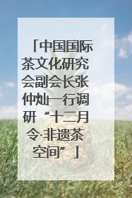 中国国际茶文化研究会副会长张仲灿一行调研“十二月令·非遗茶空间”