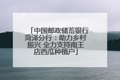 中国邮政储蓄银行菏泽分行：助力乡村振兴 全力支持南王店西瓜种植户