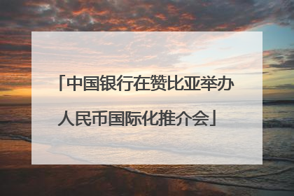 中国银行在赞比亚举办人民币国际化推介会