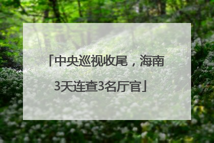 中央巡视收尾，海南3天连查3名厅官