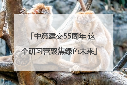 中意建交55周年 这个研习营聚焦绿色未来