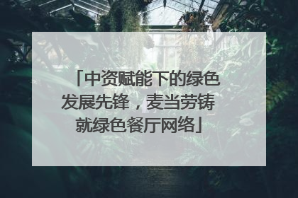 中资赋能下的绿色发展先锋，麦当劳铸就绿色餐厅网络