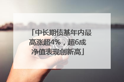 中长期债基年内最高涨超4%，超6成净值表现创新高