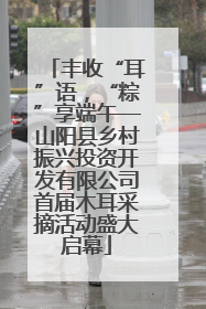 丰收“耳”语，“粽”享端午—山阳县乡村振兴投资开发有限公司首届木耳采摘活动盛大启幕