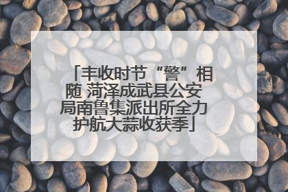 丰收时节“警”相随 菏泽成武县公安局南鲁集派出所全力护航大蒜收获季