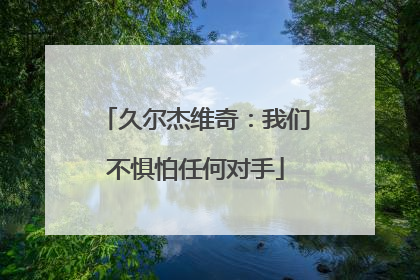 久尔杰维奇：我们不惧怕任何对手