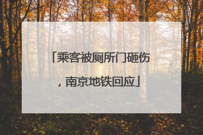 乘客被厕所门砸伤，南京地铁回应