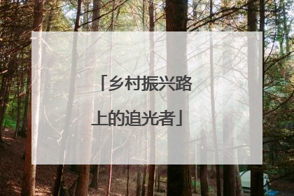 乡村振兴路上的追光者