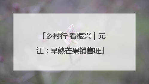 乡村行 看振兴｜元江：早熟芒果销售旺