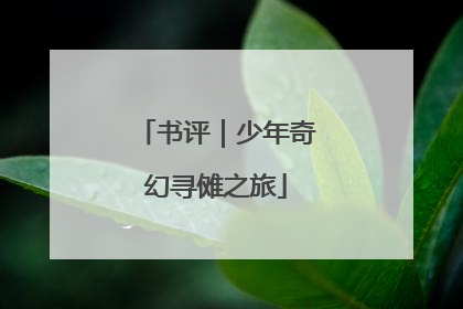 书评｜少年奇幻寻傩之旅