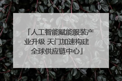 人工智能赋能服装产业升级 天门加速构建全球供应链中心