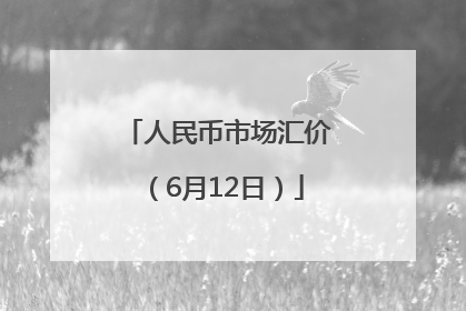 人民币市场汇价（6月12日）
