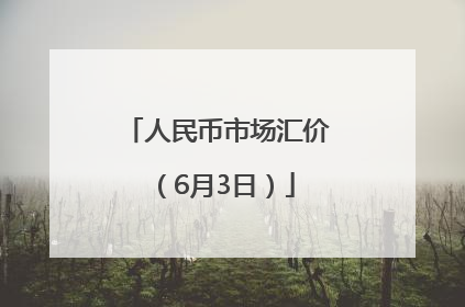 人民币市场汇价（6月3日）