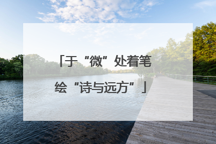 于“微”处着笔 绘“诗与远方”