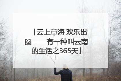 云上草海 欢乐出圈——有一种叫云南的生活之365天
