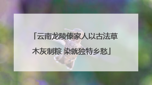 云南龙陵傣家人以古法草木灰制粽 染就独特乡愁