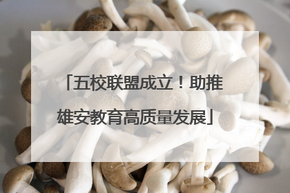 五校联盟成立！助推雄安教育高质量发展