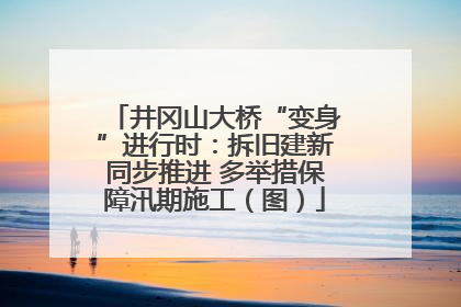井冈山大桥“变身”进行时：拆旧建新同步推进 多举措保障汛期施工（图）