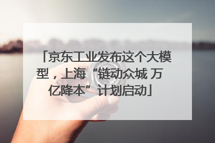 京东工业发布这个大模型，上海“链动众城 万亿降本”计划启动
