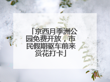 京西月季洲公园免费开放，市民假期驱车前来赏花打卡