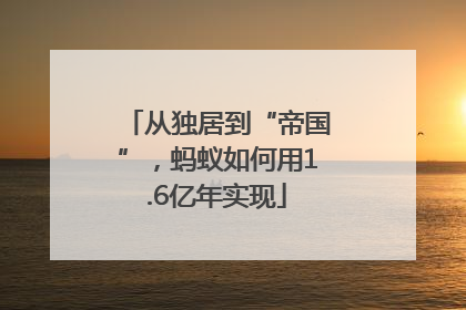 从独居到“帝国”，蚂蚁如何用1.6亿年实现