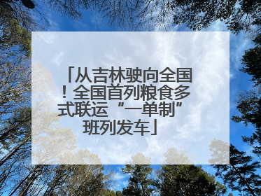 从吉林驶向全国！全国首列粮食多式联运“一单制”班列发车