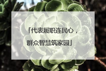 代表履职连民心，群众智慧筑家园