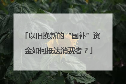 以旧换新的“国补”资金如何抵达消费者？